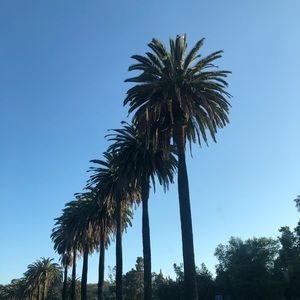 Meet your Posher, Mia